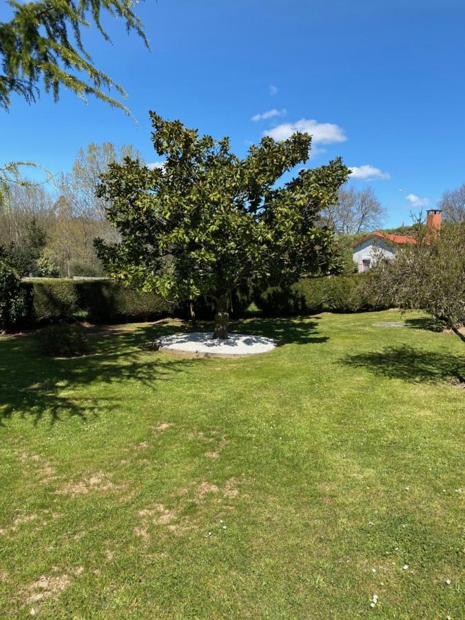 アルスーアA Finca Do Rio Velloアパートメント エクステリア 写真